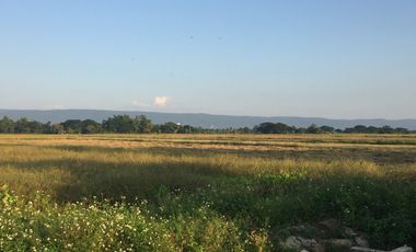 Land for sale in Doi Ngam, Chiang Rai