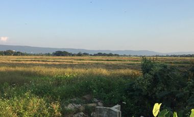 Land for sale in Doi Ngam, Chiang Rai