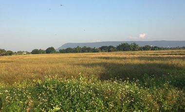 Land for sale in Doi Ngam, Chiang Rai