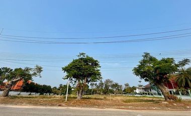 4,800 SQ.M Land Plot For Sale At Palm Hills