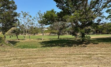 4,800 SQ.M Land Plot For Sale At Palm Hills