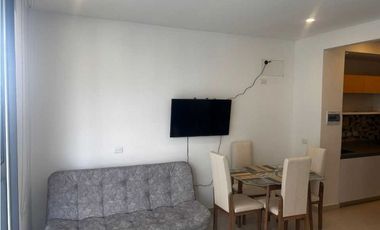 Apartamento tipo LOFT en en pozos colorados - 005