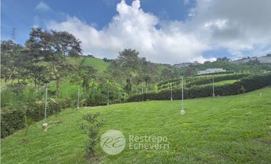 Casa en conjunto, en venta, Palestina, Caldas