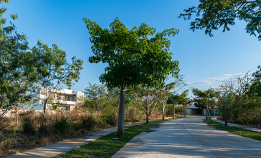 PREVENTA EN CABO NORTE