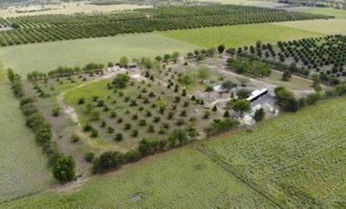 QUINTA VENTA ALLENDE (LNB)