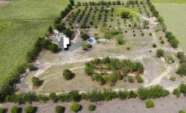 QUINTA VENTA ALLENDE (LNB)