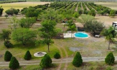 QUINTA VENTA ALLENDE (LNB)