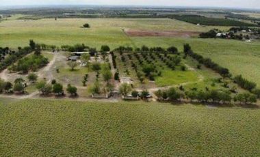 QUINTA VENTA ALLENDE (LNB)