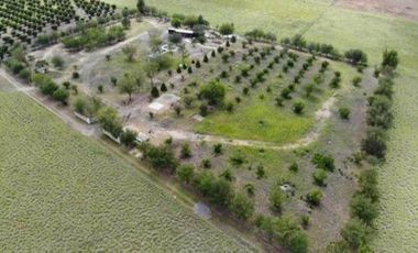 QUINTA VENTA ALLENDE (LNB)