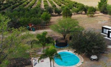 QUINTA VENTA ALLENDE (LNB)