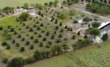 QUINTA VENTA ALLENDE (LNB)