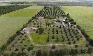 QUINTA VENTA ALLENDE (LNB)