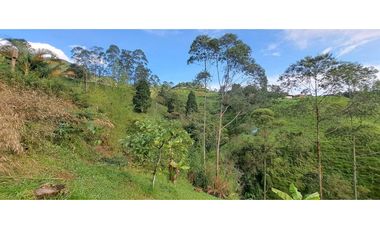 VENDO CASA CAMPESTRE EN CALDAS ANTIOQUIA.