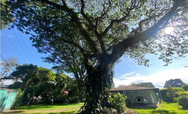 Casa campestre de 1.500m2 en venta Barrio Belén Palmira Valle Colombia