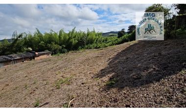 ref 906a pavas/vendo lote campestre