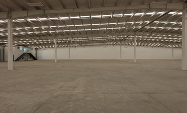 Bodegas industriales en Renta Hybrid Park Silao Gto