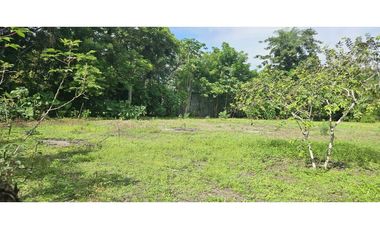 VENDO.LOTE DE  2041 M EN ALANJE