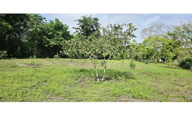 VENDO.LOTE DE  2041 M EN ALANJE