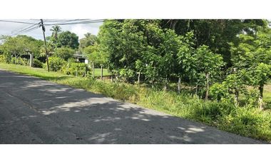 VENDO.LOTE DE  2041 M EN ALANJE