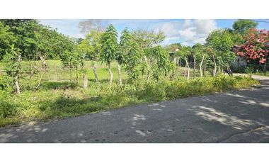 VENDO.LOTE DE  2041 M EN ALANJE