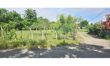 VENDO.LOTE DE  2041 M EN ALANJE