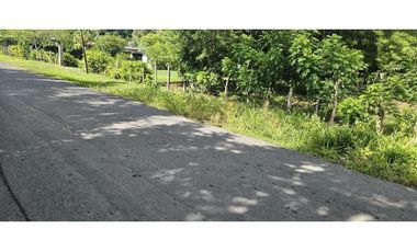 VENDO.LOTE DE  2041 M EN ALANJE
