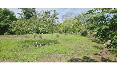 VENDO.LOTE DE  2041 M EN ALANJE