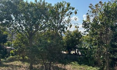 Land for sale in Tha Sut, Chiang Rai