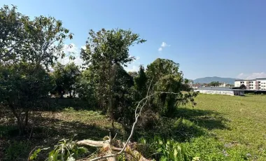 Land for sale in Tha Sut, Chiang Rai