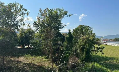 Land for sale in Tha Sut, Chiang Rai