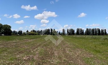 Agrícola en Venta en camino a Catillo