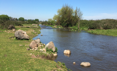 Sitio en Venta en J-40
