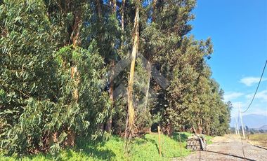 Sitio en Venta en Carampangue Colegio Trebulco