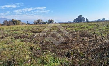 Parcela en Venta en Carampangue Colegio Trebulco