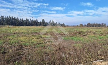 Parcela en Venta en Carampangue Colegio Trebulco
