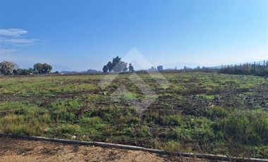 Parcela en Venta en Carampangue Colegio Trebulco