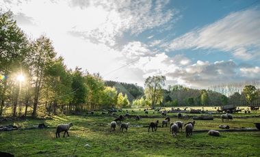 Parcela en Venta en Paraguay Chico
