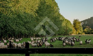 Parcela en Venta en Paraguay Chico