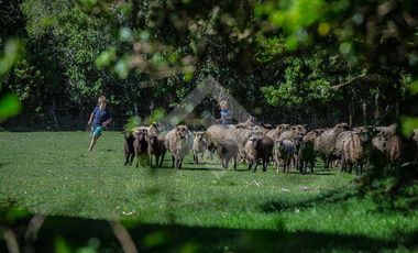 Parcela en Venta en Paraguay Chico
