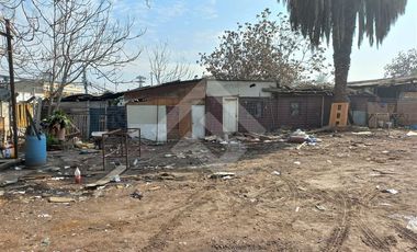 Sitio en Venta en Carrascal / Augusto Matte