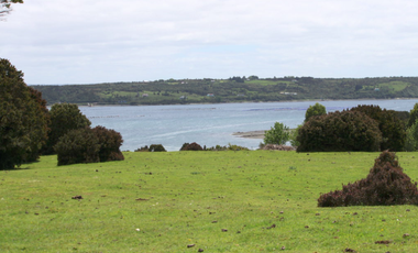 Parcela en Venta en Isla Cailin