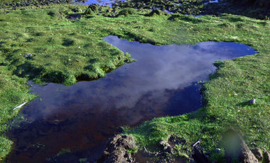 Parcela en Venta en Isla Cailin