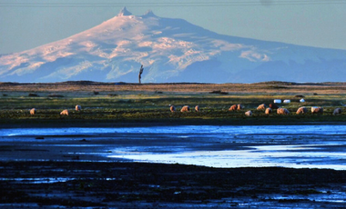 Parcela en Venta en Isla Cailin