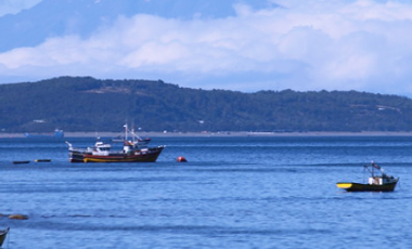 Parcela en Venta en Isla Cailin