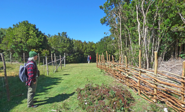 Parcela en Venta en Isla Cailin