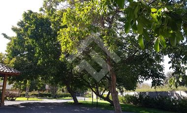 Local Comercial en Venta en CARRETERA SAN MARTIN - LAS BRISAS