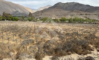 Parcela en Venta en Encanto de Elqui