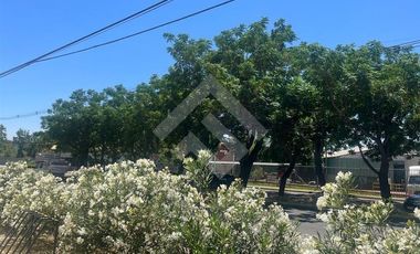 Local Comercial en Venta en Carrascal/Villasana