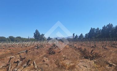 Sitio en Arriendo en Balmaceda