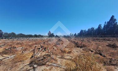 Sitio en Arriendo en Balmaceda